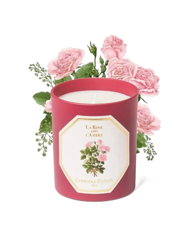 La Rose Aime l'Ambre suggérées chez