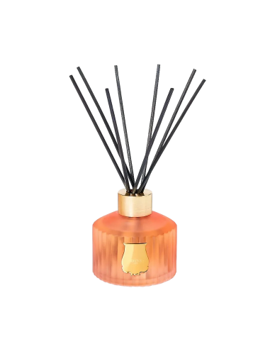 Tuileries Diffuseur basket pas cher