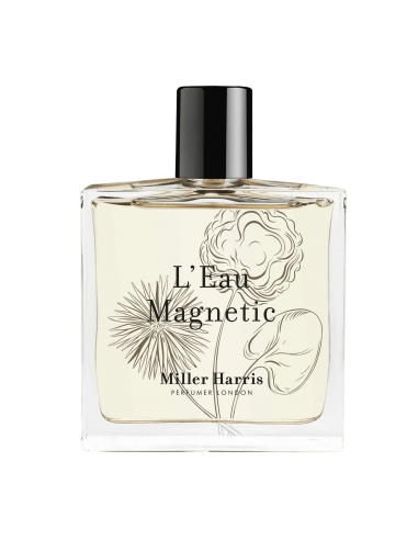 L'Eau Magnetic online