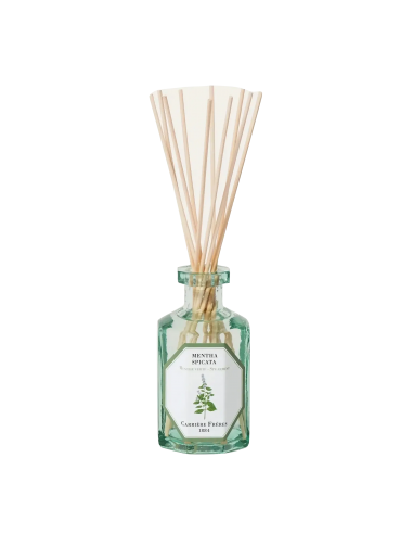 Diffuseur Menthe Verte Paris Déstockage Promo